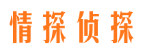 东安市私家调查